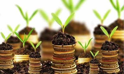 推動產(chǎn)業(yè)升級 海南鼓勵農(nóng)產(chǎn)品加工企業(yè)兼并重組優(yōu)化投資管理